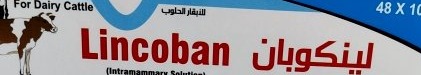 لينكوبان