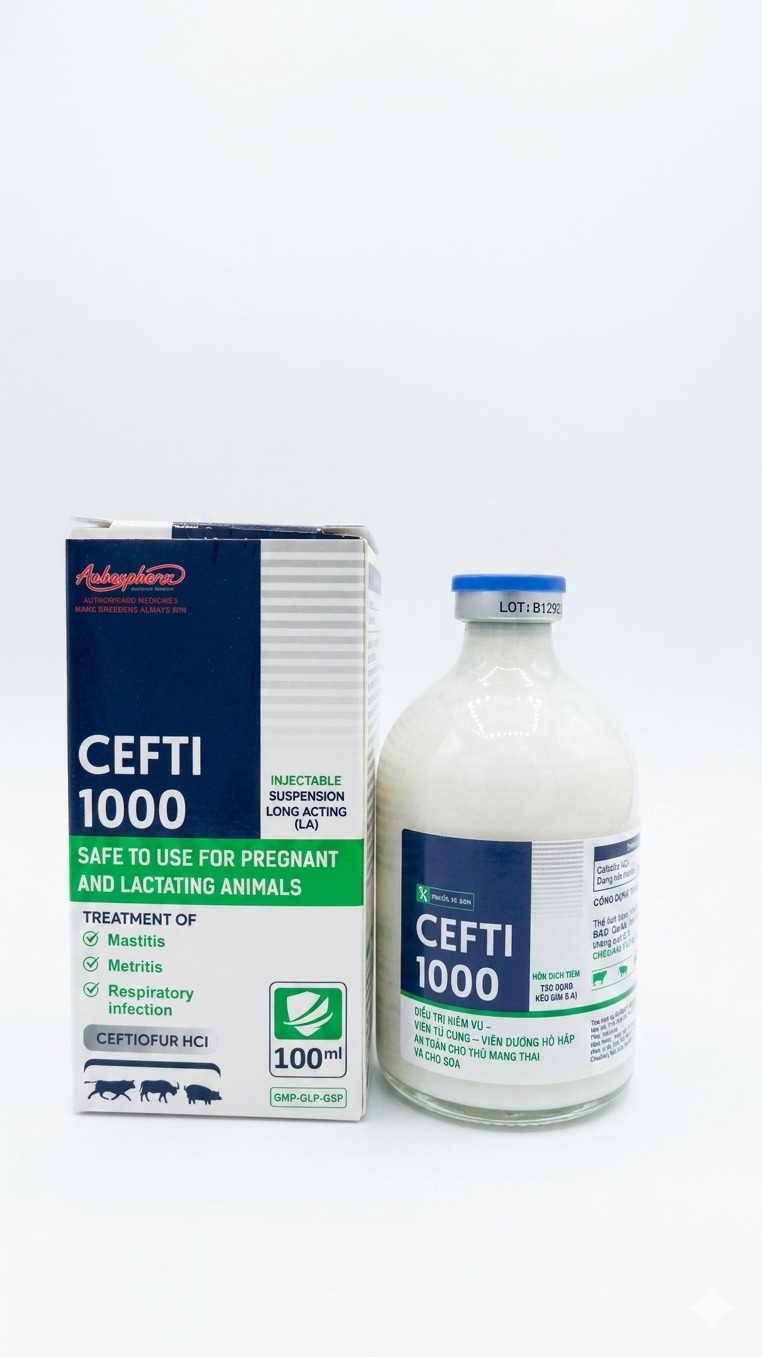 سيفتي 1000